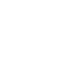 fast-loan